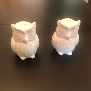 Owl Salt & Pepper Shakers 🦉